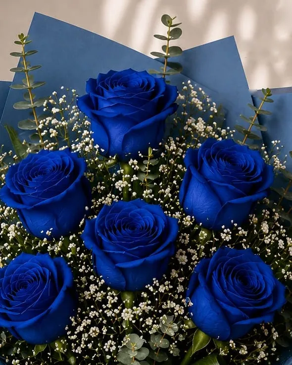 Detalle: ramo de seis rosas azules con paniculata y eucalipto en papel azul con cinta azul marino