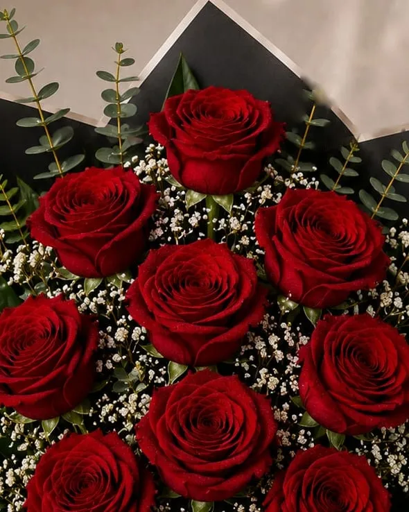 Detalle: ramo de nueve rosas rojas con paniculata y eucalipto en papel negro con cinta negra