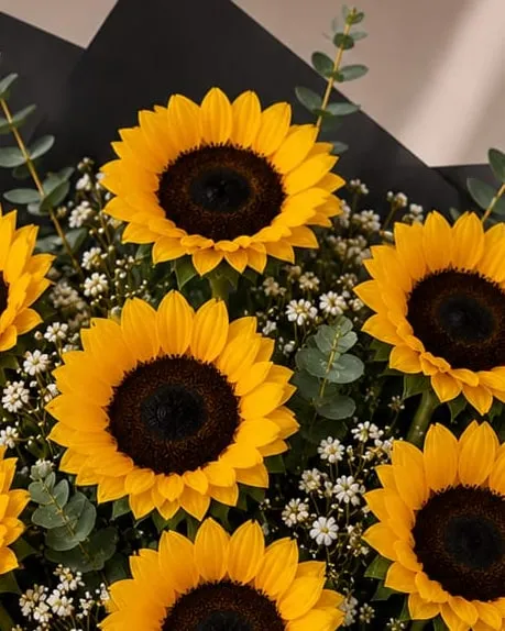 Detalle: ramo de nueve girasoles con paniculata y eucalipto en papel negro
