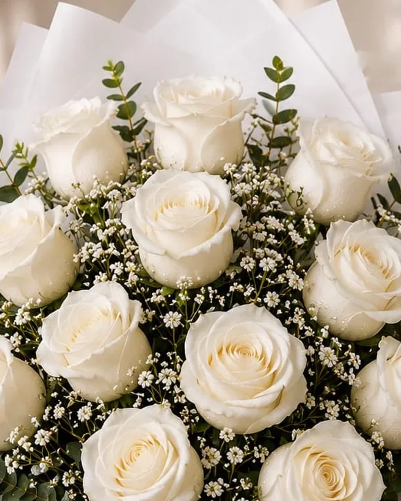 Detalle: ramo de doce rosas blancas con paniculata y eucalipto en papel blanco con cinta blanca
