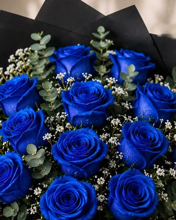 Detalle: ramo de doce rosas azules con paniculata y eucalipto en papel negro con cinta negra