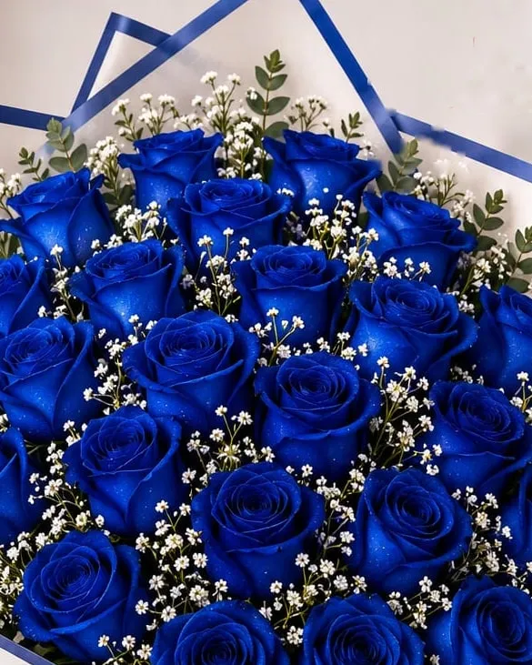 Detalle: ramo de veinticuatro rosas azules con paniculata y eucalipto en papel blanco con borde azul