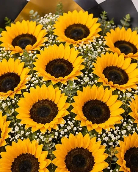 Detalle: ramo de veinticuatro girasoles con paniculata y eucalipto en papel negro y dorado