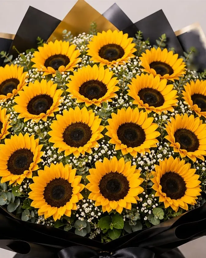 Ramo de veinticuatro girasoles con paniculata y eucalipto en papel negro y dorado